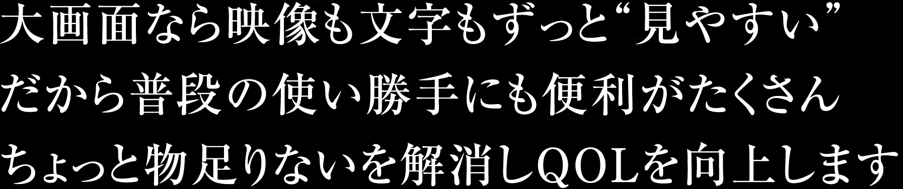 大画面なら映像も文字もずっと“見やすい”だから普段の使い勝手にも便利がたくさんちょっと物足りないを解消しQOLを向上します