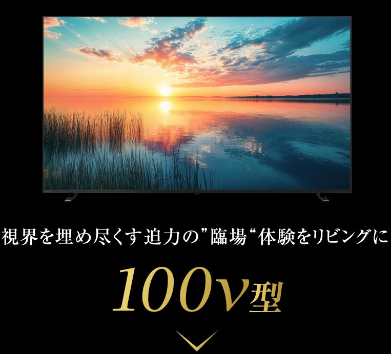 視界を埋め尽くす迫力の”臨場“体験をリビングに 100v型