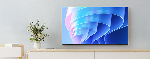 4K 液晶レグザ 85E670R イメージ